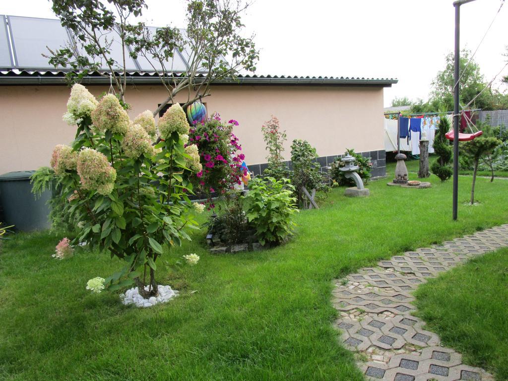 Ferienwohnung-Schluecke บาด ฟรังเคนเฮาเซน ภายนอก รูปภาพ