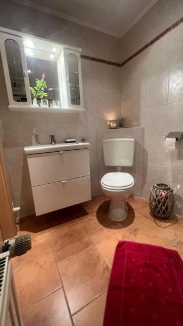 Ferienwohnung-Schluecke บาด ฟรังเคนเฮาเซน ภายนอก รูปภาพ